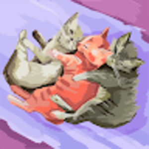 Meet your Posher, Kyleigh